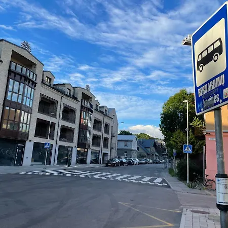 Διαμέρισμα Art Uzupis In Center